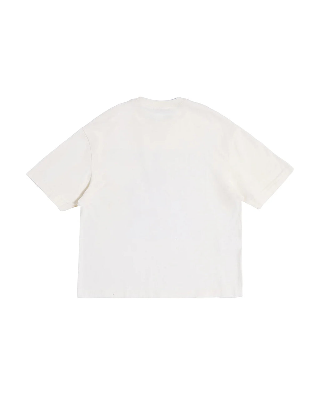 LNM Vintage Fusion Graphic Tee